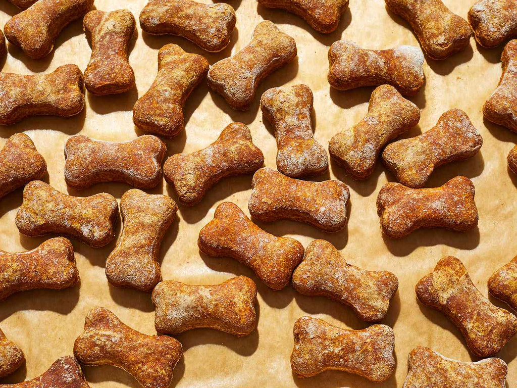 De voordelen van hondensnacks en hoe u gezonde opties kunt kiezen