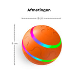 BounceBuddy Bal met Afstandbediening